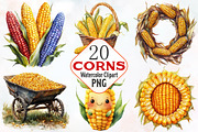 Corn Watercolor Cliparts, an Illustration by RobertsArt (Thumbnail 1 of 7)