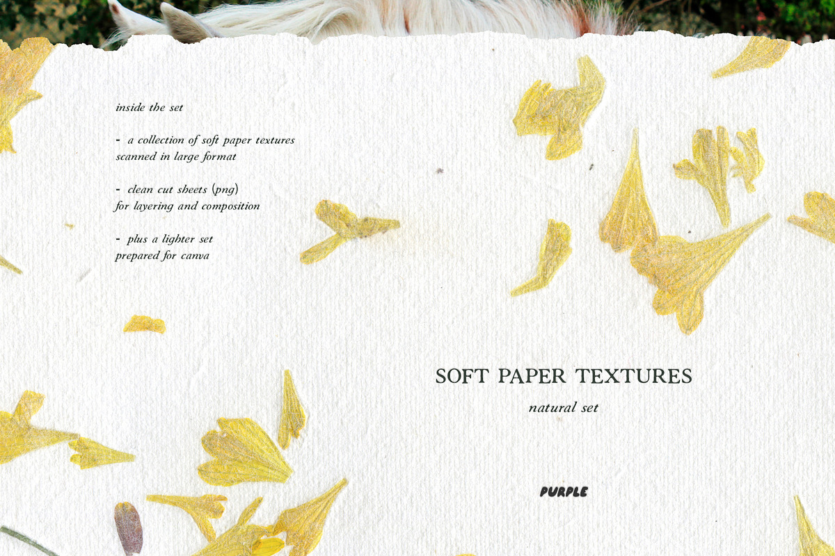 Soft Paper Textures - Natural Set, a Texture Graphic by Purple (Photo 2 of 10)