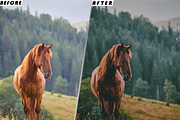 Wanderlust Video Luts And Presets, a Brushes & More by one-touch (Thumbnail 2 of 6)