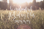 Molino Script, a Script Font by dimindie (Thumbnail 3 of 3)
