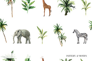 ANIMAL KINGDOM & Animals Patterns