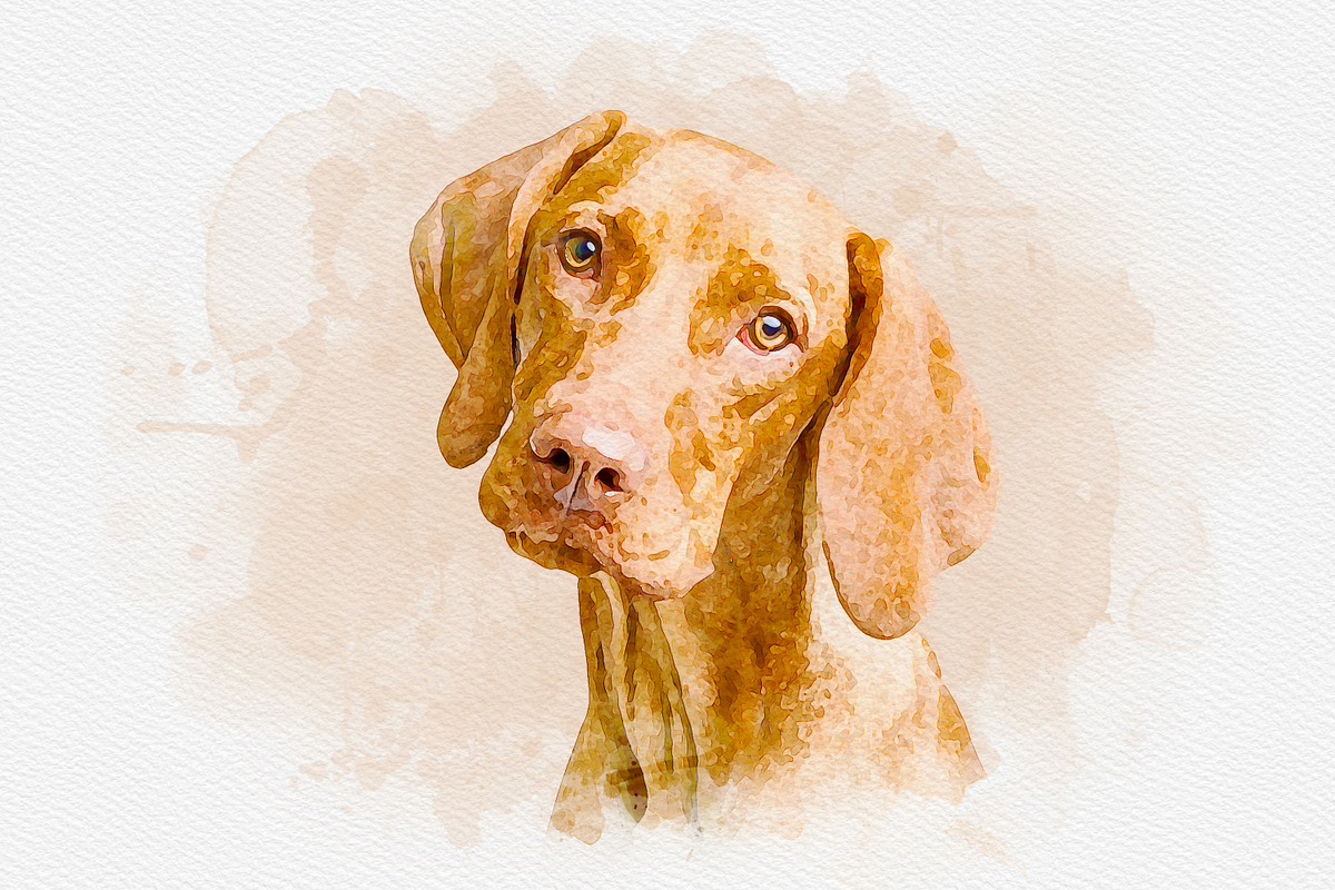 Dreamy Watercolor Photo Effect, an Action Add-On by liptouse (Photo 5 of 6)