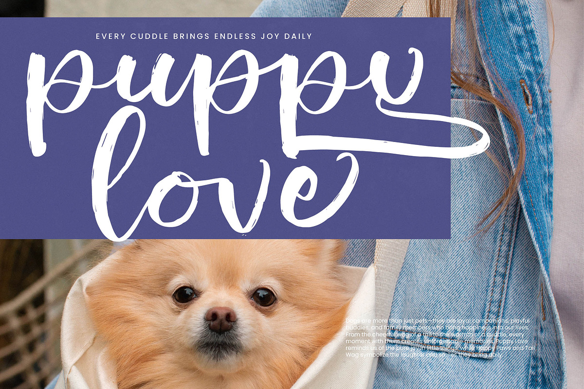 Shiny Cottage Modern Handbrush Font, a Script Font by stylishtype.co (Photo 14 of 20)