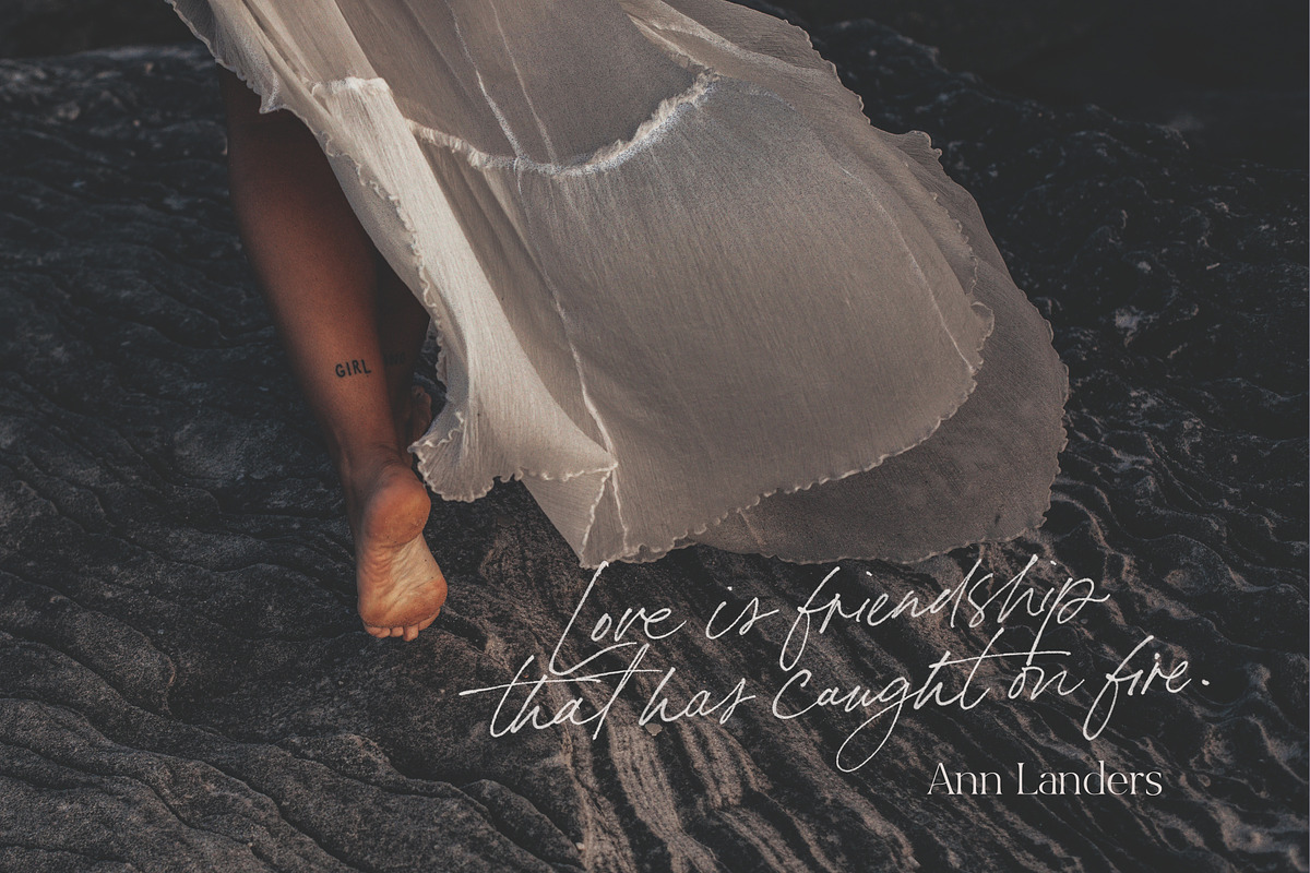 Bon Vivant Collection, a Serif Font by Nicky Laatz (Photo 30 of 44)