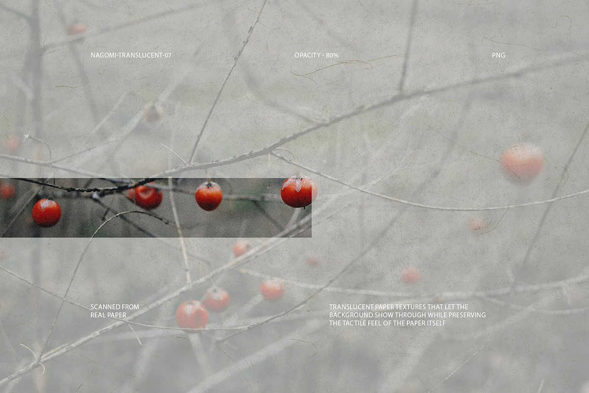 Nagomi - Japanese Paper Textures, a Texture Graphic by alonahaidash (Photo 25 of 26)