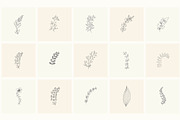 Hand Drawn Floral Elements. Frames, a Seasonal Illustration by Designwork (Thumbnail 11 of 22)
