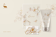 Bloom Poetry – 8 in 1 Luxury Floral, an Illustration by Karma (Thumbnail 20 of 66)