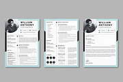 JOB WINNING RESUME - 50 TEMPLATES, a Resume Template by ResumeInventor (Thumbnail 12 of 184)