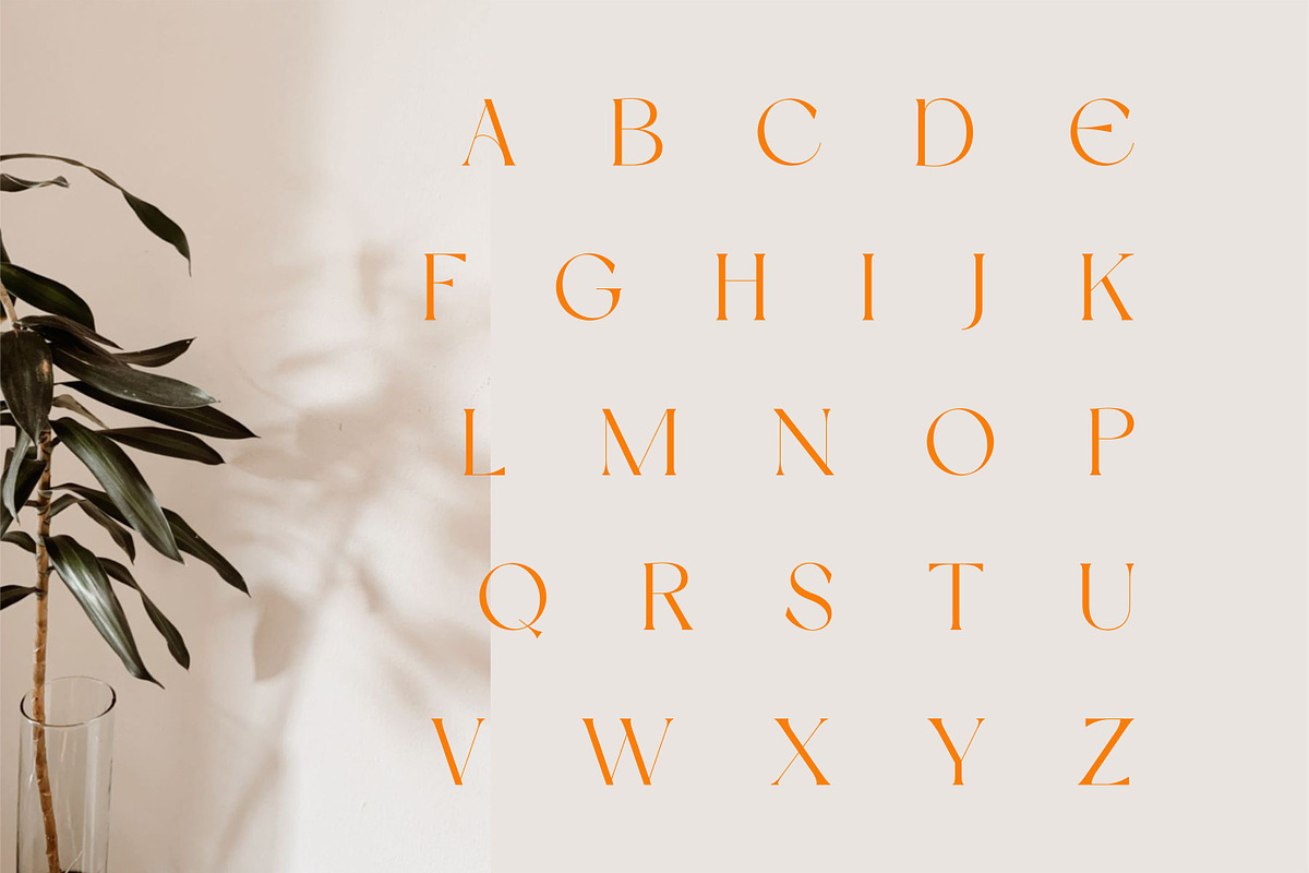 Dream Avenue | Modern Classic, a Serif Font by Muntab_Art (Photo 9 of 11)