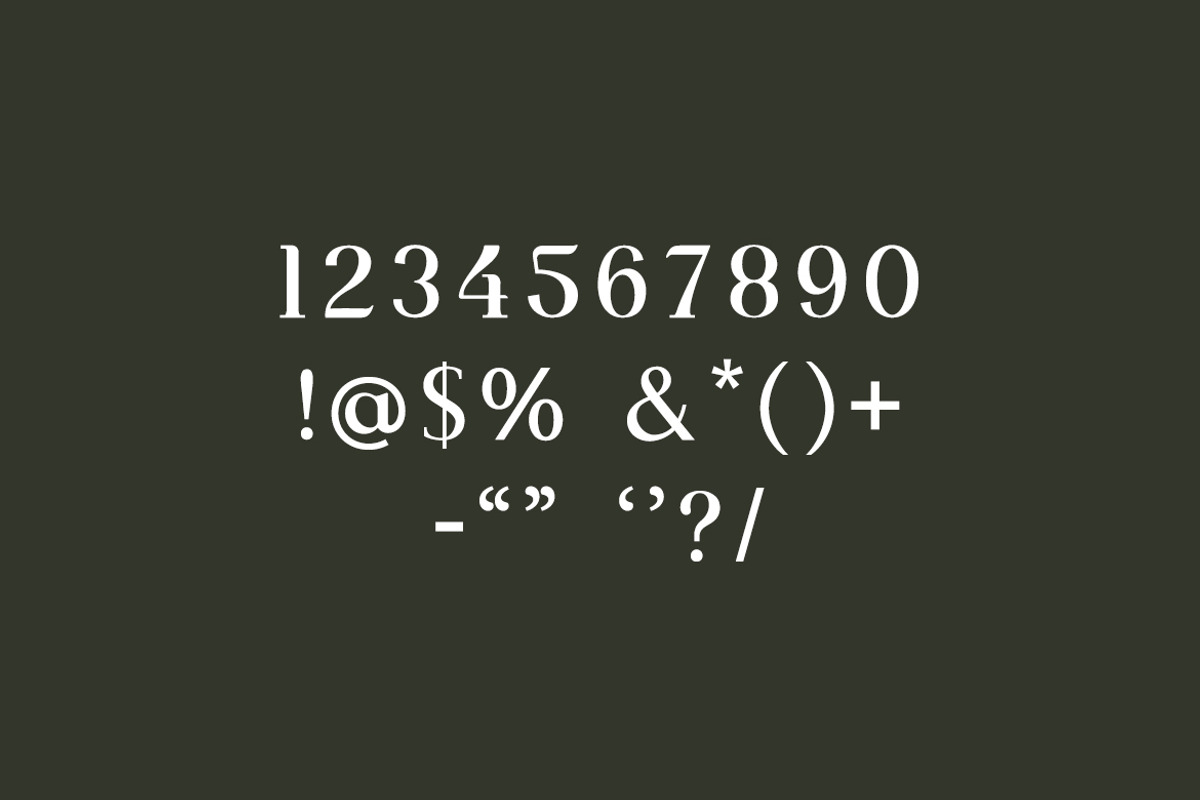 Mechanized Display Serif Font, a Serif Font by UICreative (Photo 8 of 9)