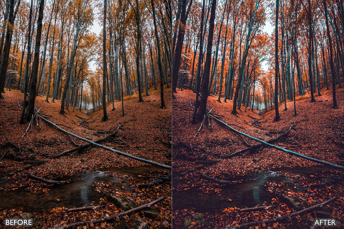 Dark and Moody Lightroom Presets, a Preset Add-On by AAA Presets (Photo 17 of 17)