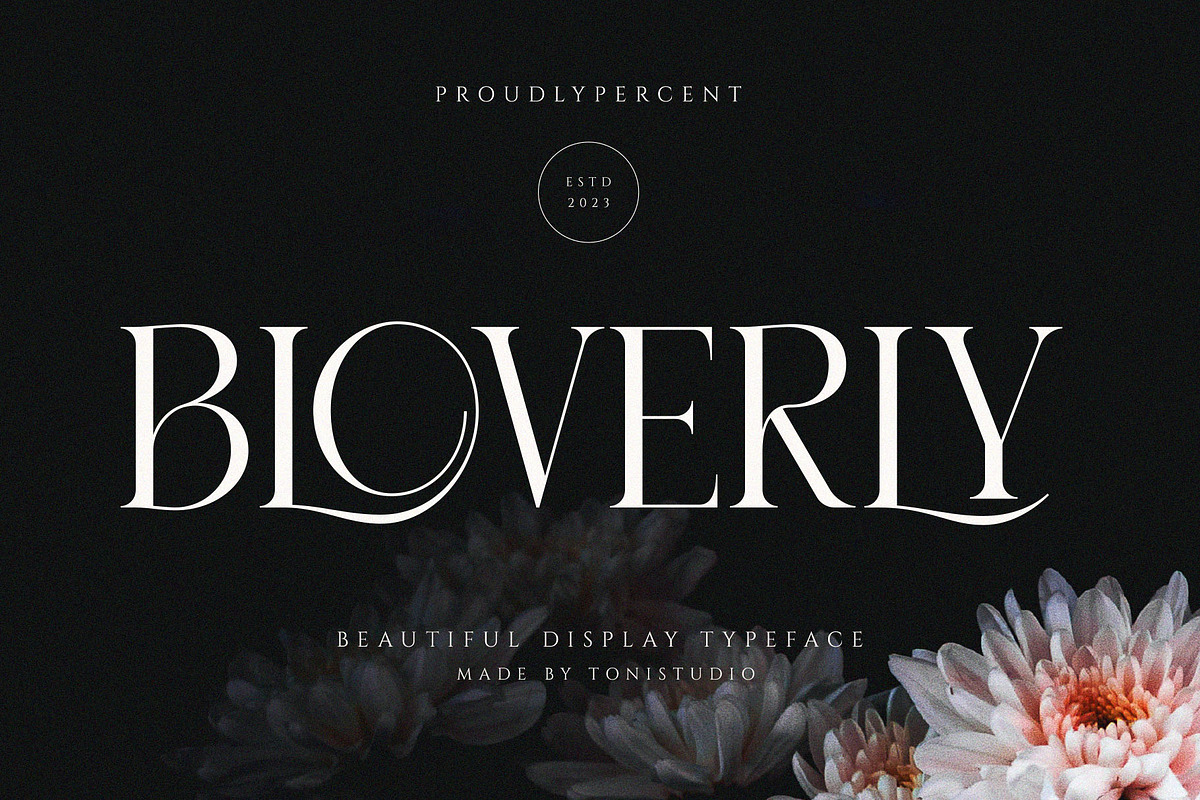 Beautiful Fonts Bundle, a Serif Font by ToniStudio (Photo 5 of 13)