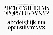 Arachem California | 27 Font Style, a Serif Font by IM Studio (Thumbnail 13 of 13)