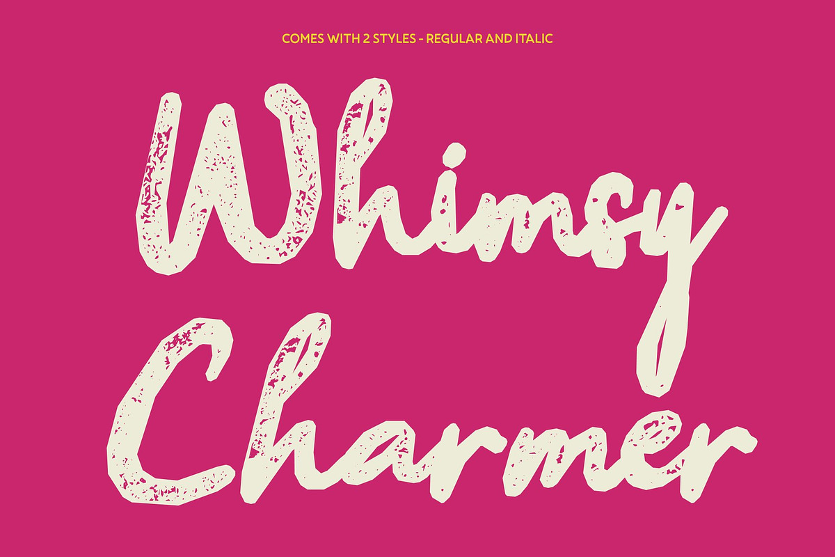 CS Sachie Stamp, a Script Font by Craft Supply Co. (Photo 3 of 8)