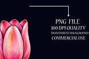 Pastel Pink Easter Watercolor Clipar, an Illustration by Libby Wishes (Thumbnail 5 of 5)