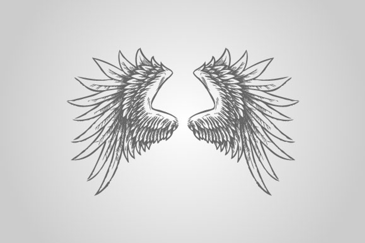 15 Wing Illustrations (Vector), an Animal Illustration by BIOWORKZ (Photo 3 of 5)