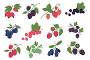 Ripe delicious berries, a Food Illustration by Torontotokio (Thumbnail 2 of 5)