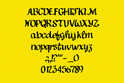 Fool Font, a Script Font by alice.fukushima (Thumbnail 3 of 3)