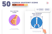50 Human Anatomy Icons, an Icon by Dighital (Thumbnail 7 of 10)