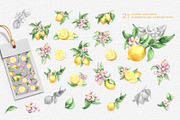 LEMONS Watercolor clipart set, an Object Illustration by GevelStudio (Thumbnail 2 of 16)
