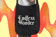 Burstyle Modern Serif Display, a Serif Font by timelesstype.co (Thumbnail 11 of 20)