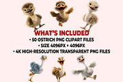 Ostrich PNG Clipart Bundle, a Graphic by M9 Design (Thumbnail 9 of 9)