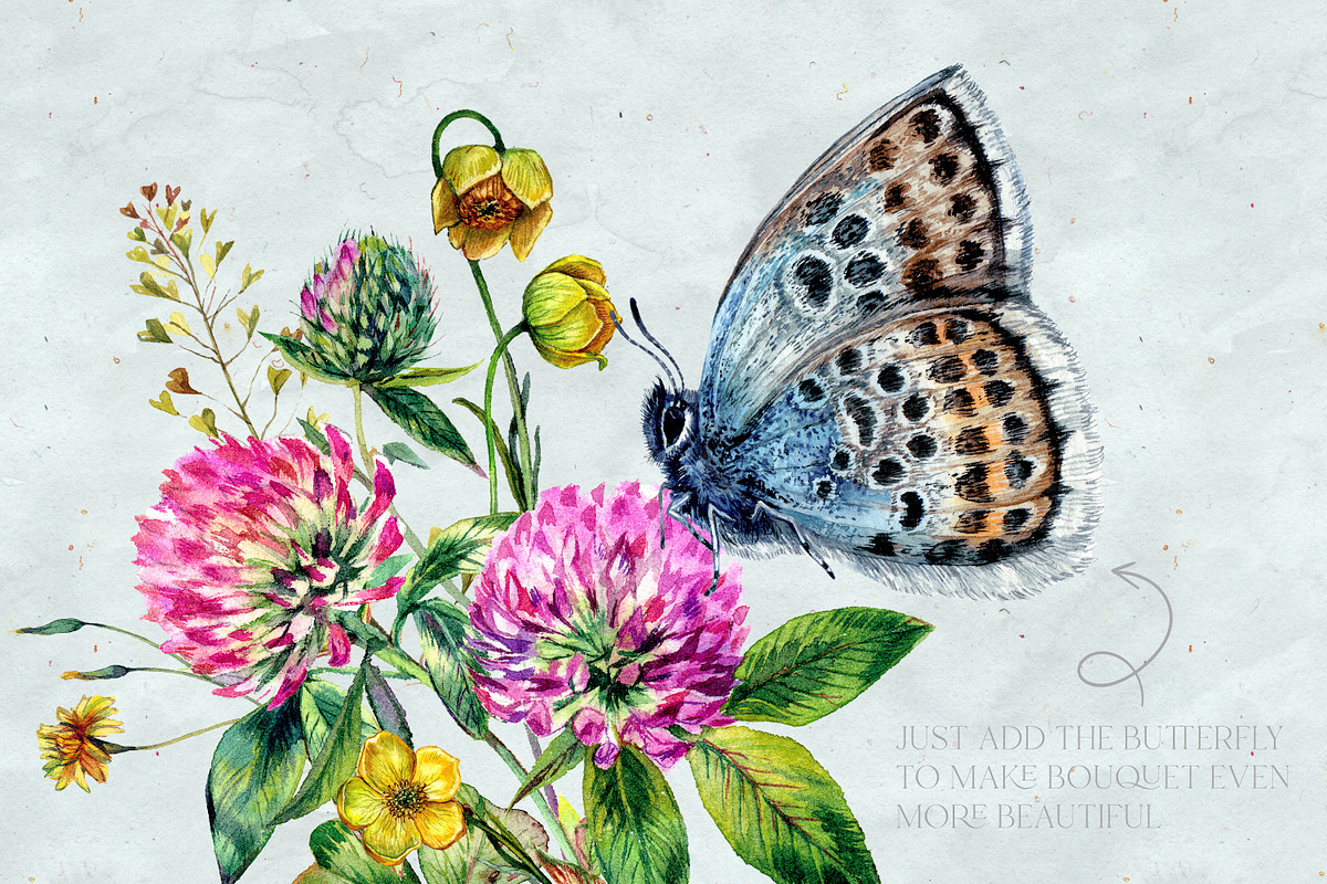 SUMMER CLOVER Watercolor Wildflowers, an Illustration by Inna Sinano (Photo 16 of 17)