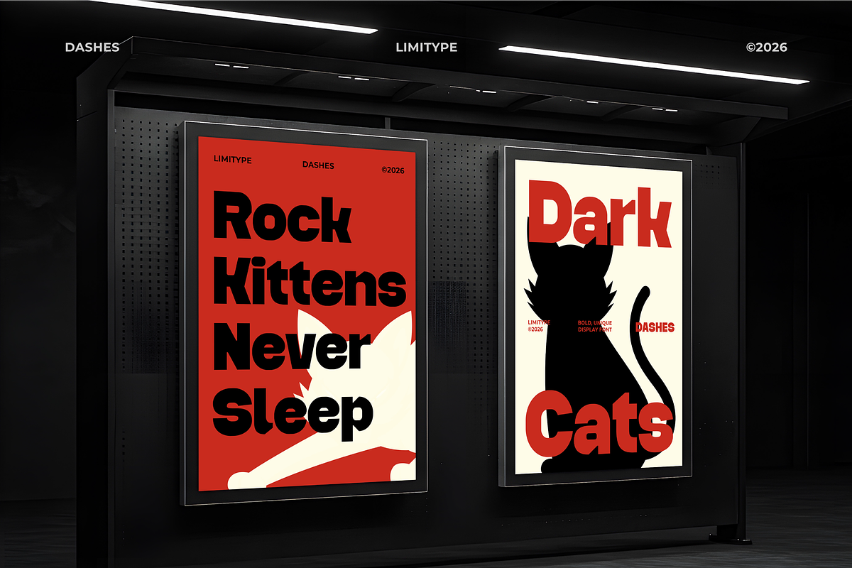 Dashes - Bold Font, a Sans Serif Font by limitype (Photo 6 of 12)