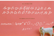 Frequency Brush Font, a Script Font by Analogous (Thumbnail 5 of 5)