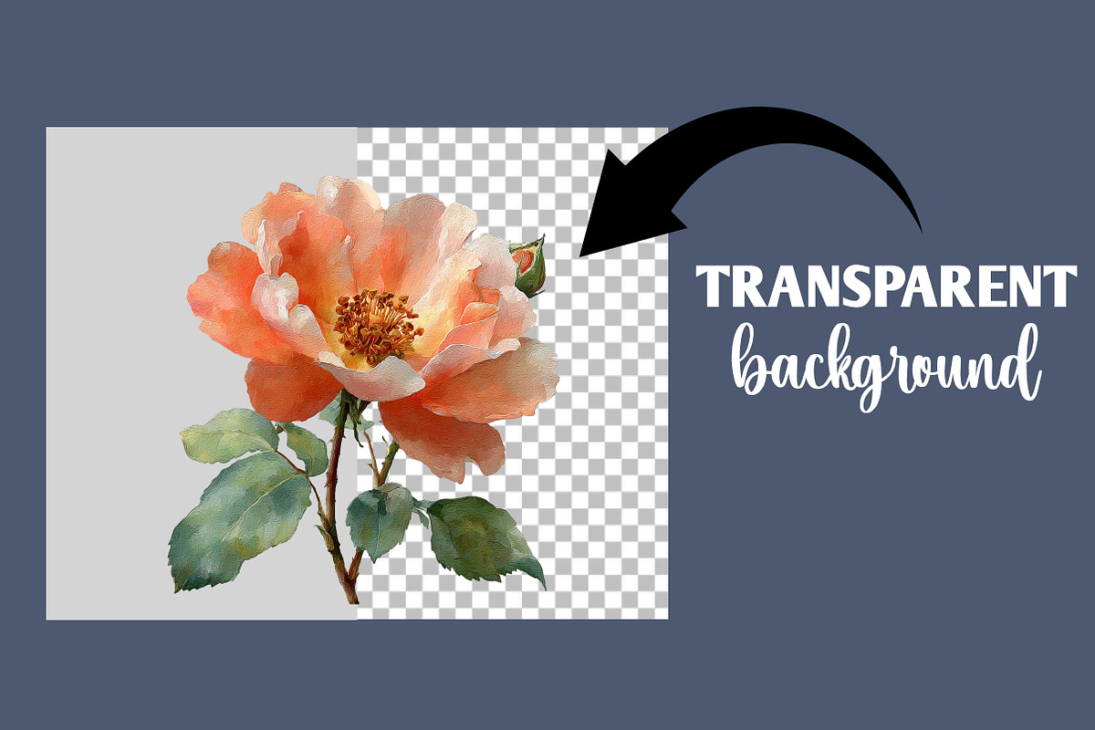Wild Roses Clipart, an Illustration by Designworld (Photo 4 of 6)