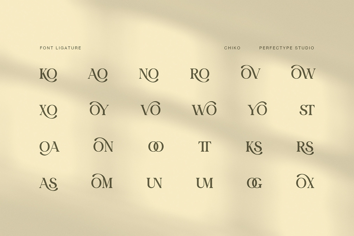Chiko Elegant Ligature Serif Font, a Serif Font by Perfectype (Photo 8 of 8)