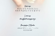 Hanley - Elegant Script Font, a Script Font by Luna Shop (Thumbnail 2 of 7)