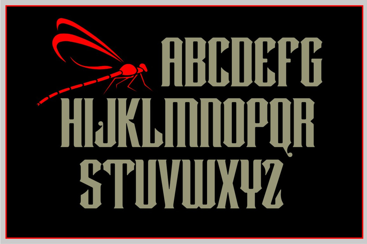 Dragonfly, a Font by Art And Sign Unlimited (Photo 3 of 4)