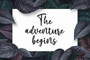 Marliesta Script Font, a Script Font by Megatype (Thumbnail 6 of 8)