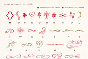 Adorn Collection, a Sans Serif Font by Laura Worthington (Thumbnail 59 of 62)