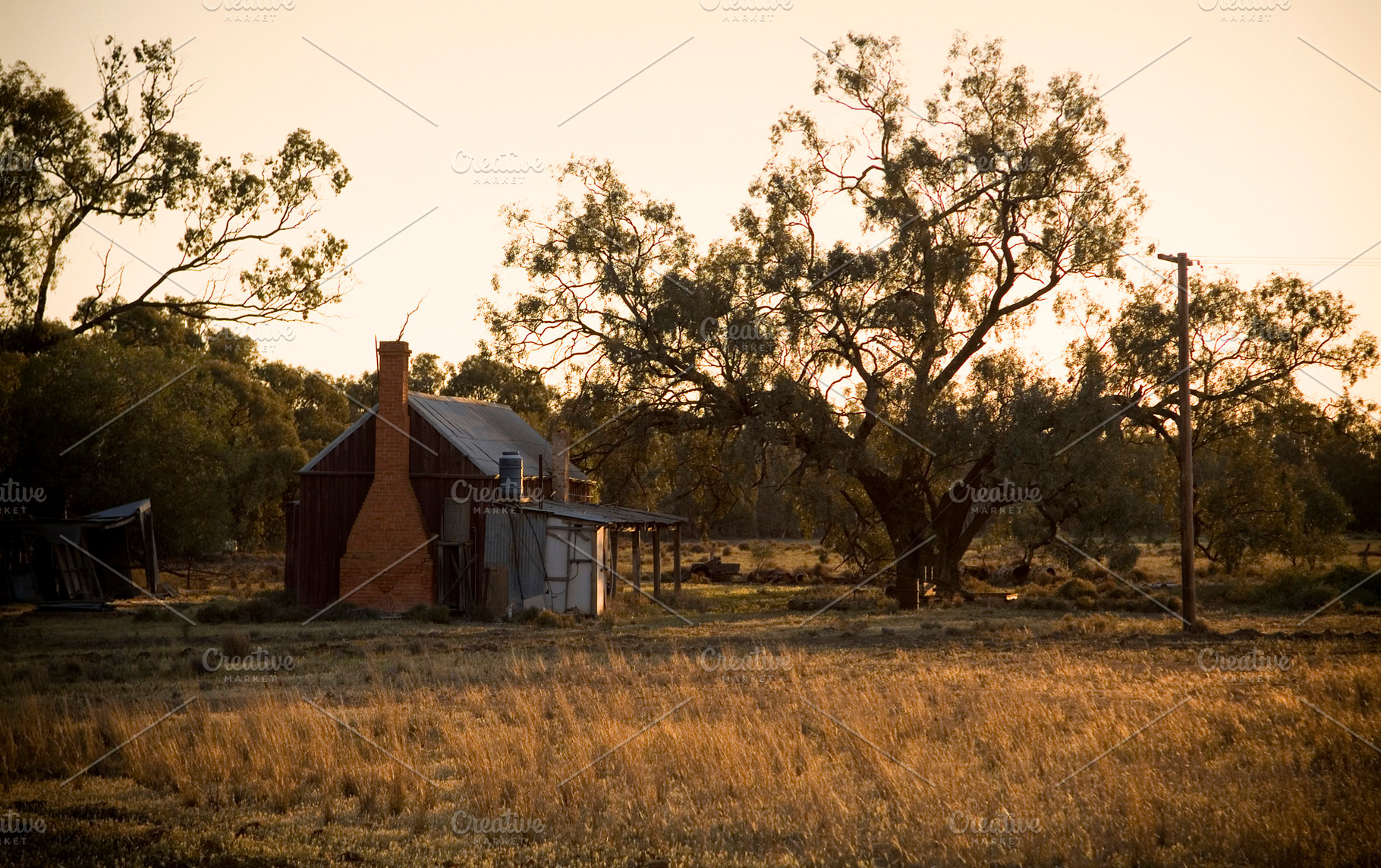 Bush Hut, a Nature Photo by THP Creative