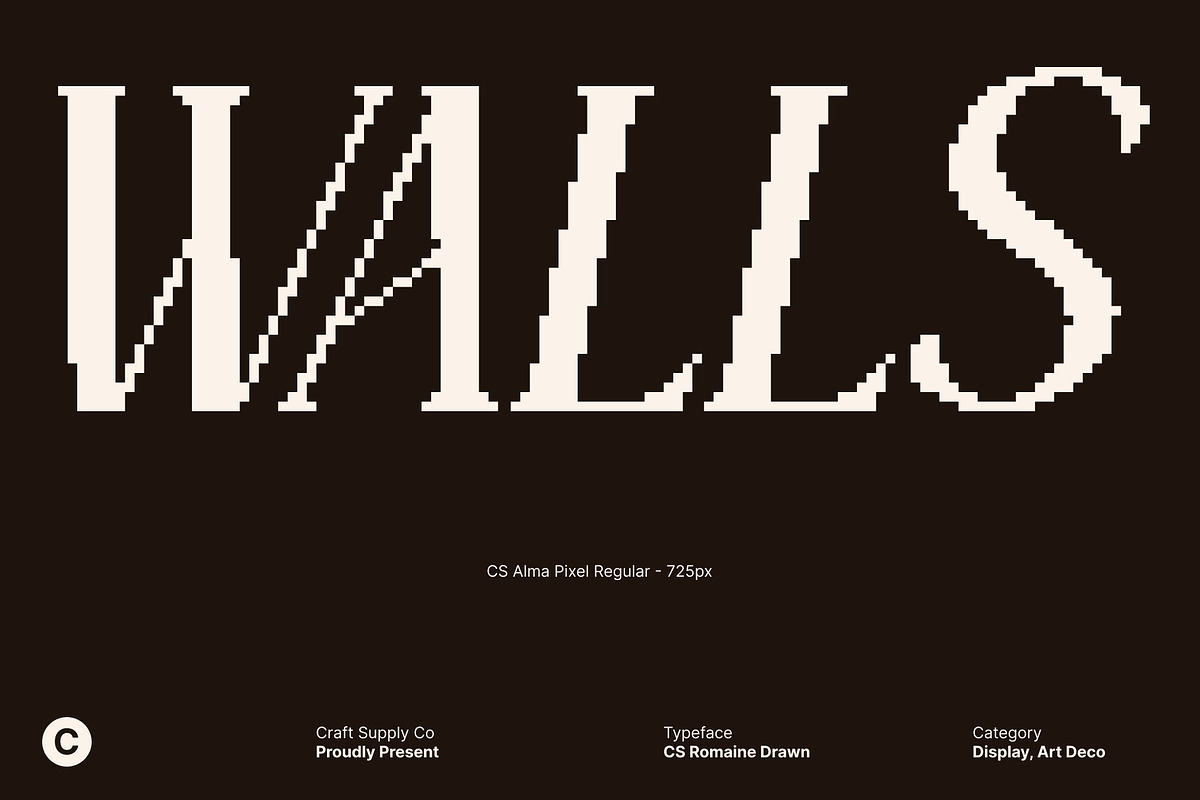 CS Alma Pixel, a Serif Font by Craft Supply Co. (Photo 2 of 8)