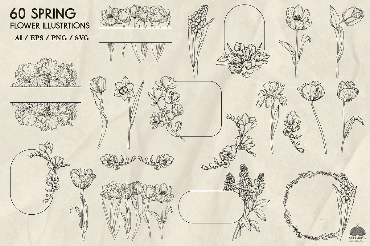 Spring flowers line art + Procreate, a Decorative Illustration by Skliarova (Photo 2 of 4)