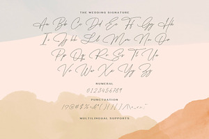 The Wedding Signature - Script