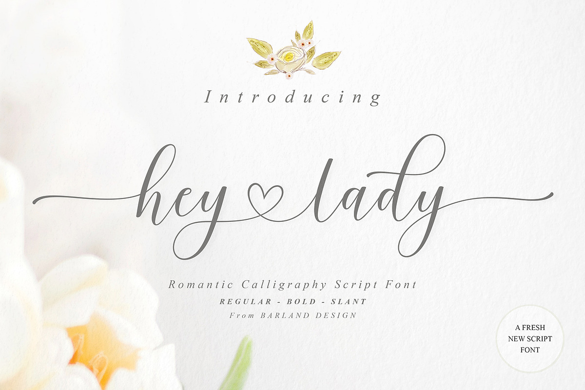 Hey Lady Script, a Script Font by Barland Design (Photo 1 of 7)