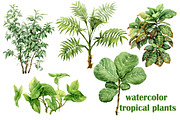 Watercolor Tropical Plants, a Decorative Illustration by Valentyna Smordova (Thumbnail 2 of 6)