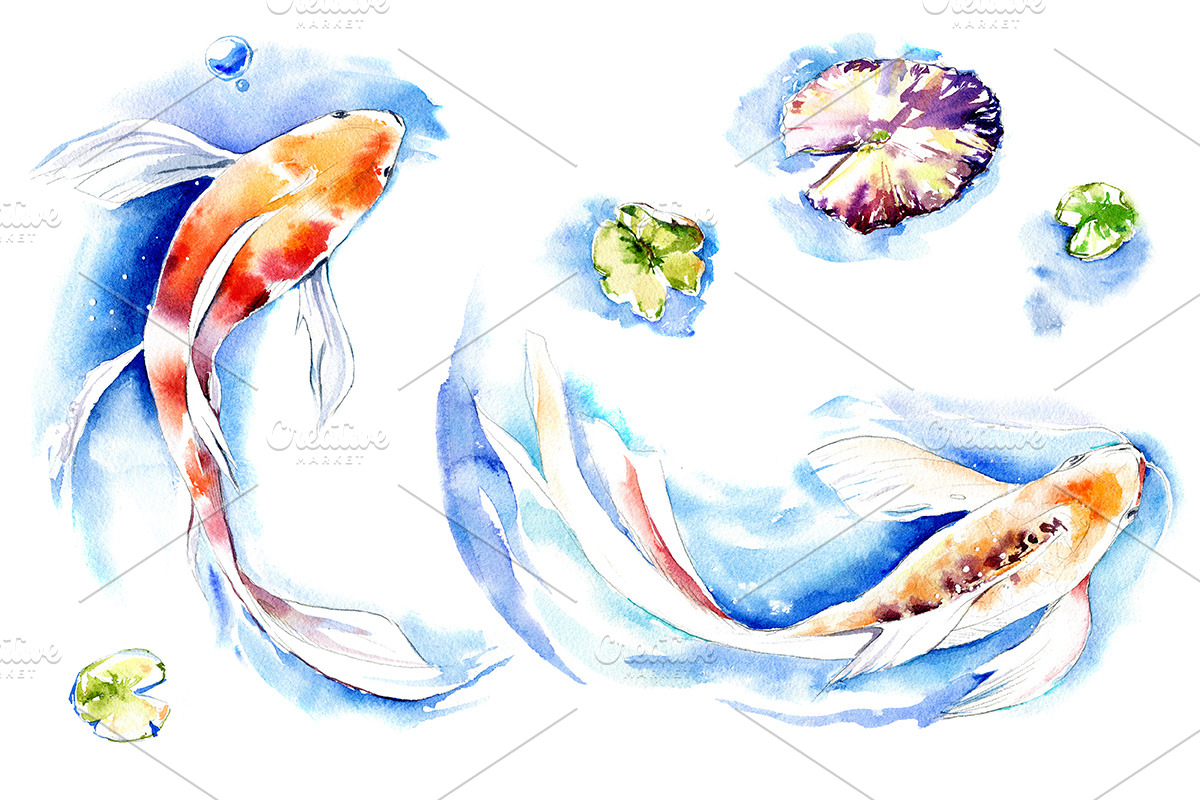 Watercolor Koi Fish, an Illustration by Botanical Art Shop (Photo 3 of 5)