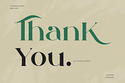 Qamille - Modern Classic Serif Font, a Serif Font by StudioinBry (Thumbnail 13 of 13)