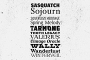 Whiskey Label Font Bundle 160 Fonts, a Font by HipFonts (Thumbnail 3 of 13)