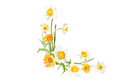 Daffodils Bouquets., an Object Graphic by Peolla (Thumbnail 6 of 9)