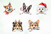 Christmas Peeking Dogs Clipart Png, an Illustration by Creative Art (Thumbnail 7 of 9)
