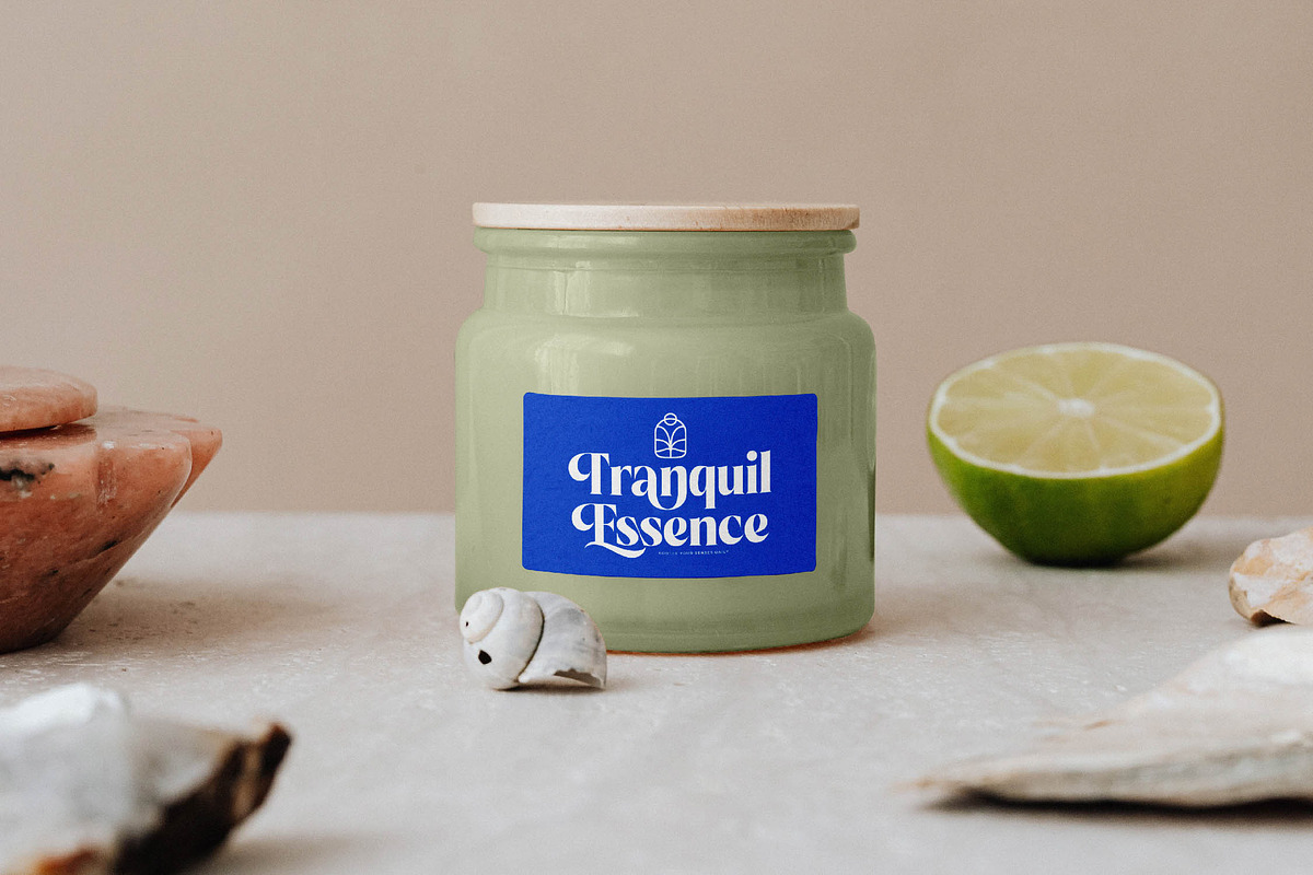 Beachy Lemon Modern Serif Font, a Serif Font by timelesstype.co (Photo 12 of 20)