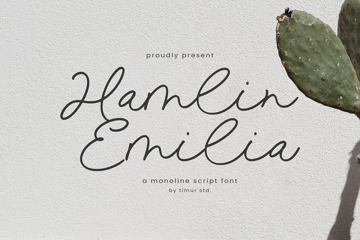 Hamlin Emilia Font, a Script Font by Timurtype (Photo 1 of 7)