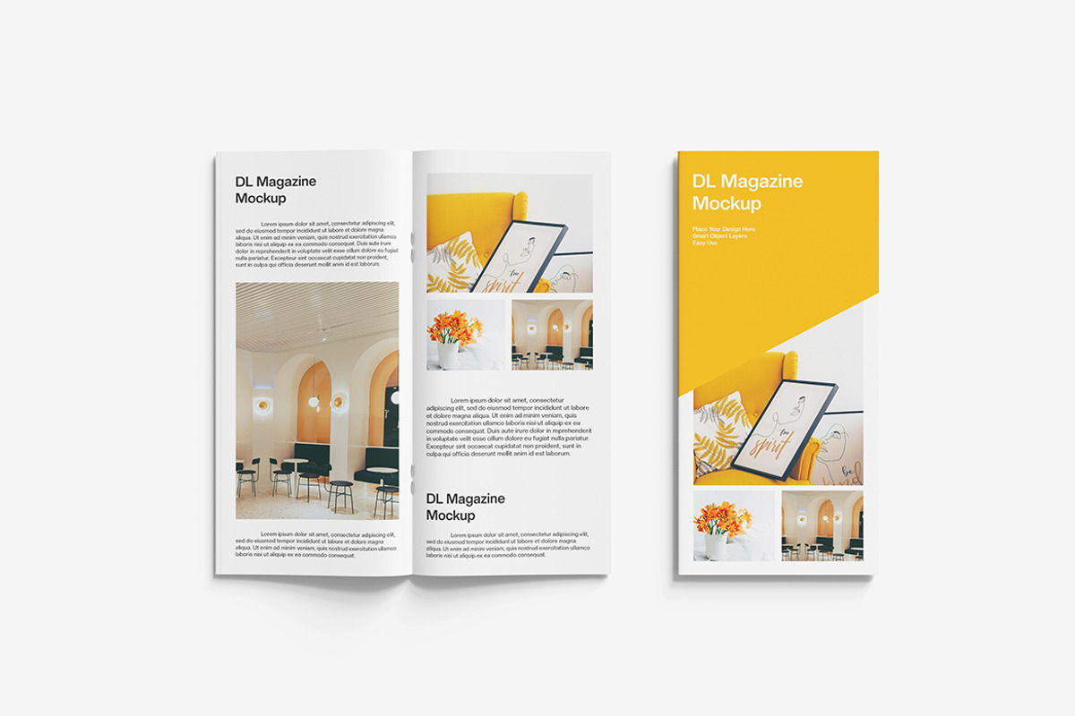 DL Magazine Mockup, a Product Mockup by MrLetters (Photo 2 of 5)