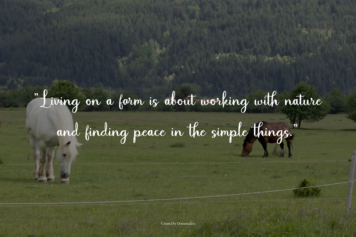 Sterling Behavior | Handwritten Duo, a Font by Denustudios (Photo 6 of 13)